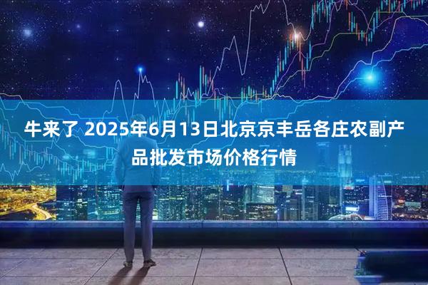 牛来了 2025年6月13日北京京丰岳各庄农副产品批发市场价格行情