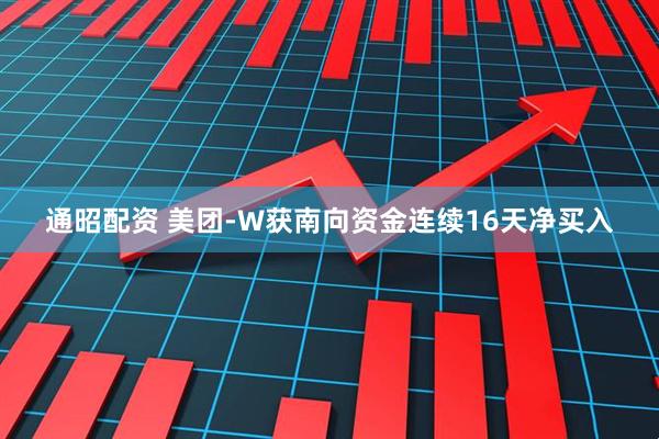 通昭配资 美团-W获南向资金连续16天净买入