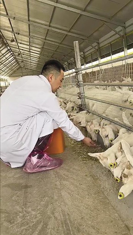 证配所配资 米龙：“奶山羊是我一辈子的事业”