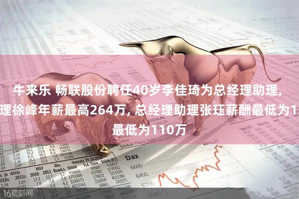牛来乐 畅联股份聘任40岁李佳琦为总经理助理, 总经理徐峰年薪最高264万, 总经理助理张珏薪酬最低为110万