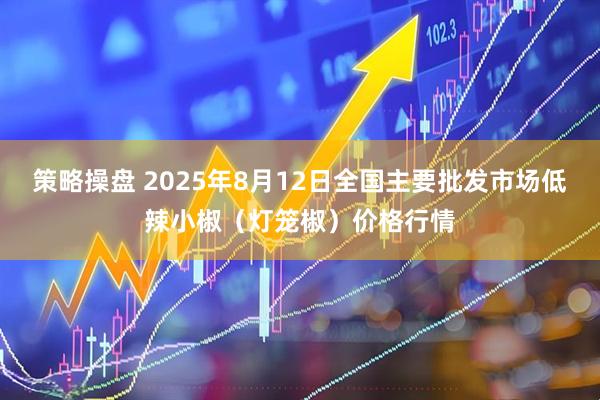 策略操盘 2025年8月12日全国主要批发市场低辣小椒（灯笼椒）价格行情