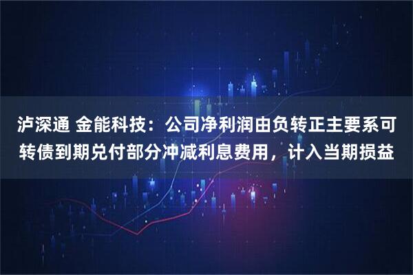 泸深通 金能科技：公司净利润由负转正主要系可转债到期兑付部分冲减利息费用，计入当期损益